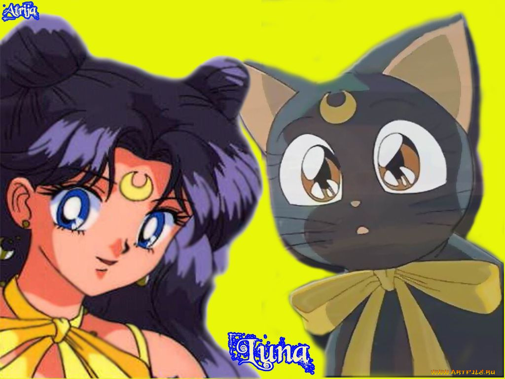 Обои Кошка Луна Аниме Sailor Moon, обои для рабочего стола, фотографии  кошка, луна, аниме, sailor, moon Обои для рабочего стола, скачать обои  картинки заставки на рабочий стол.